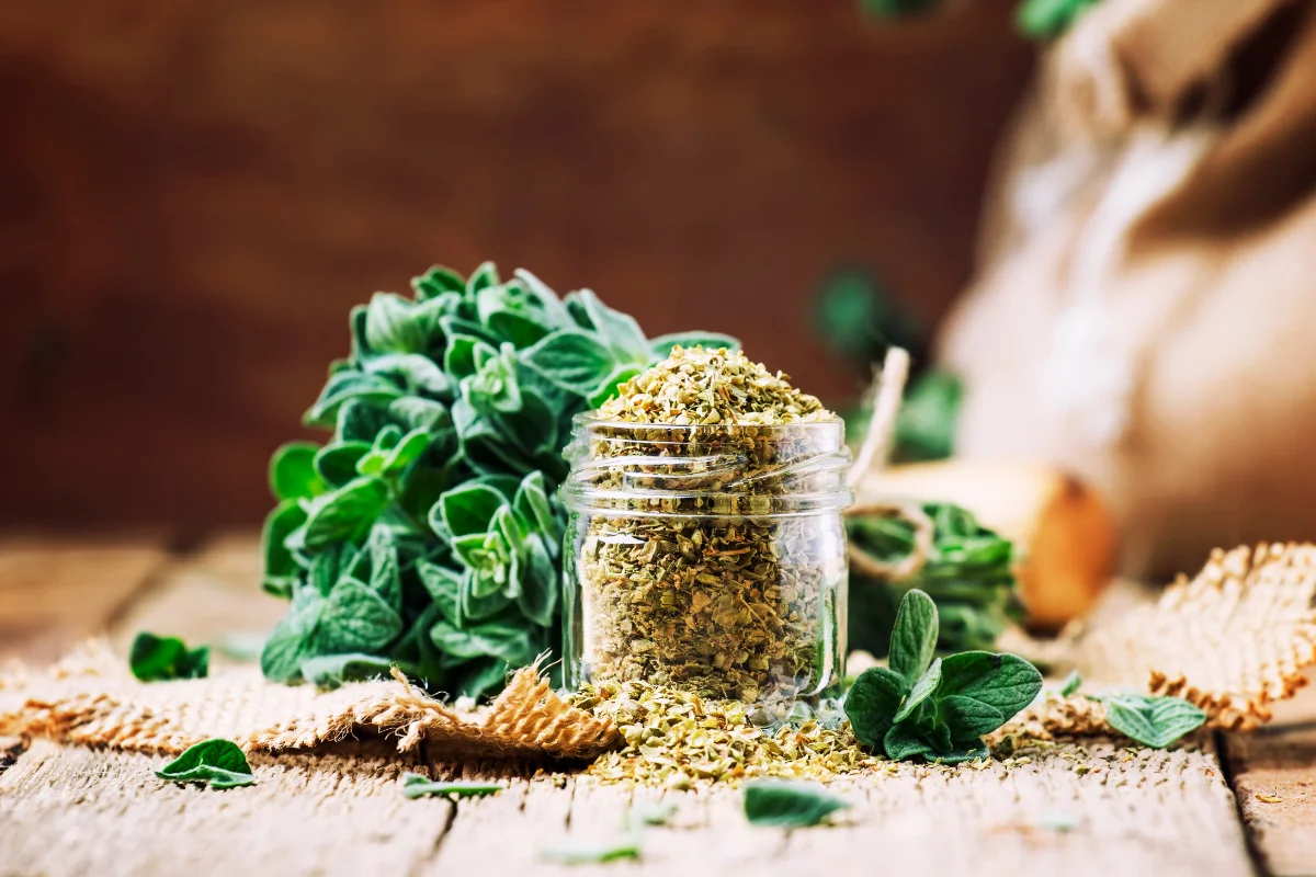 A vibrant display of fresh herbs and spices, capturing the essence of chimichurri seasoning