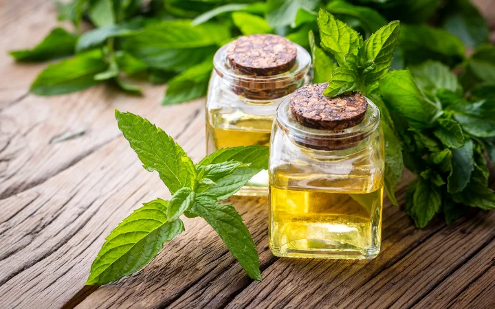 A beautifully arranged assortment of peppermint oil bottles, a diffuser emitting a gentle mist, and a backdrop of peppermint leaves, symbolizing the oil's versatility.